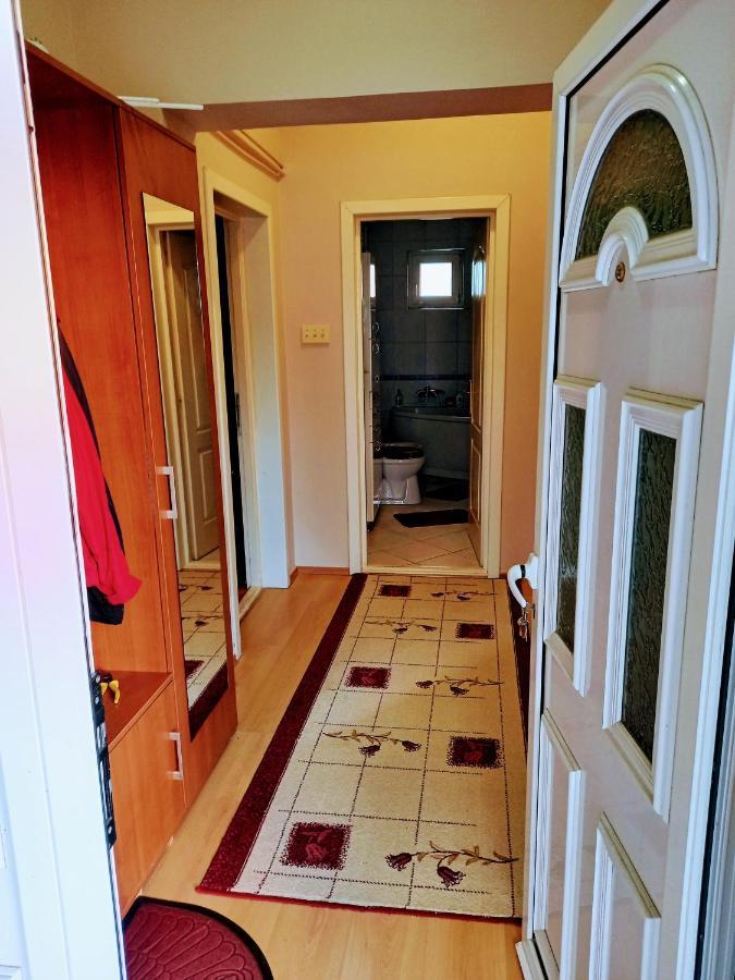 Ferienwohnung Stan Na Dan J & M Vrsac Exterior foto