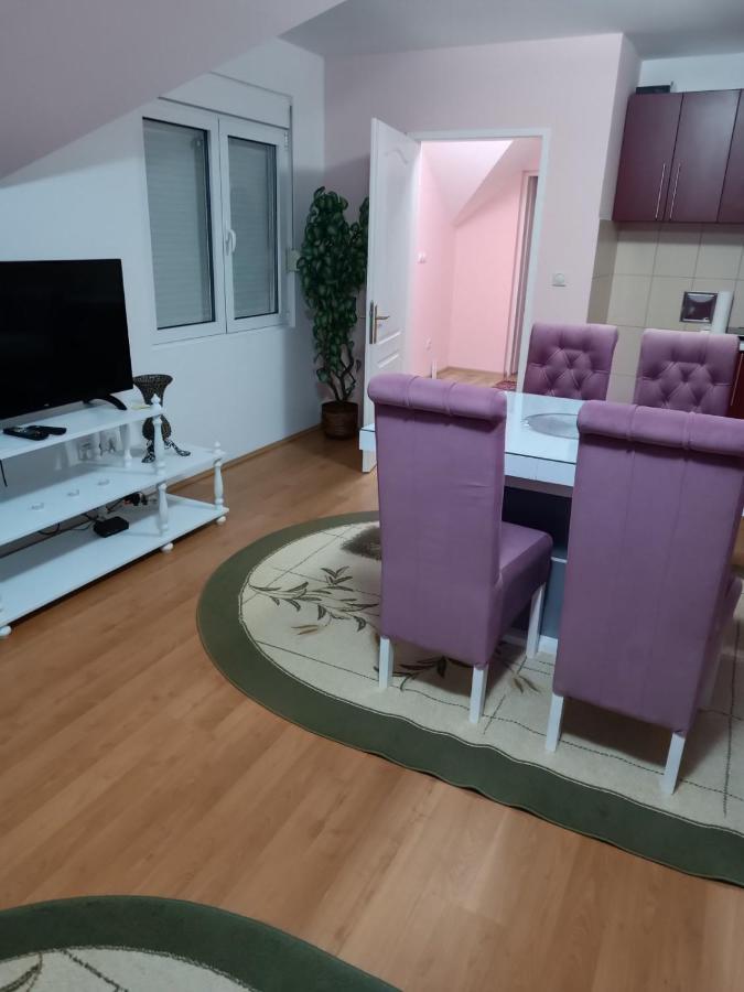 Ferienwohnung Stan Na Dan J & M Vrsac Exterior foto