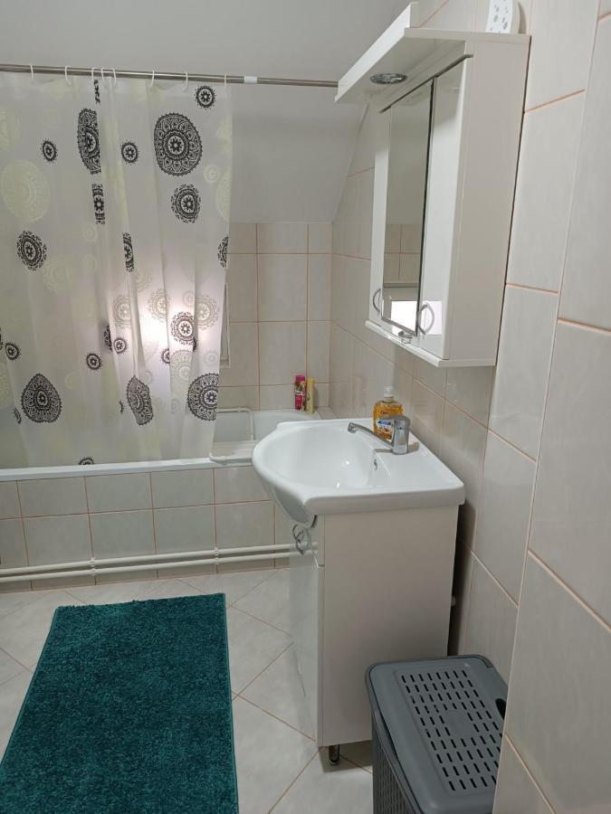 Ferienwohnung Stan Na Dan J & M Vrsac Exterior foto