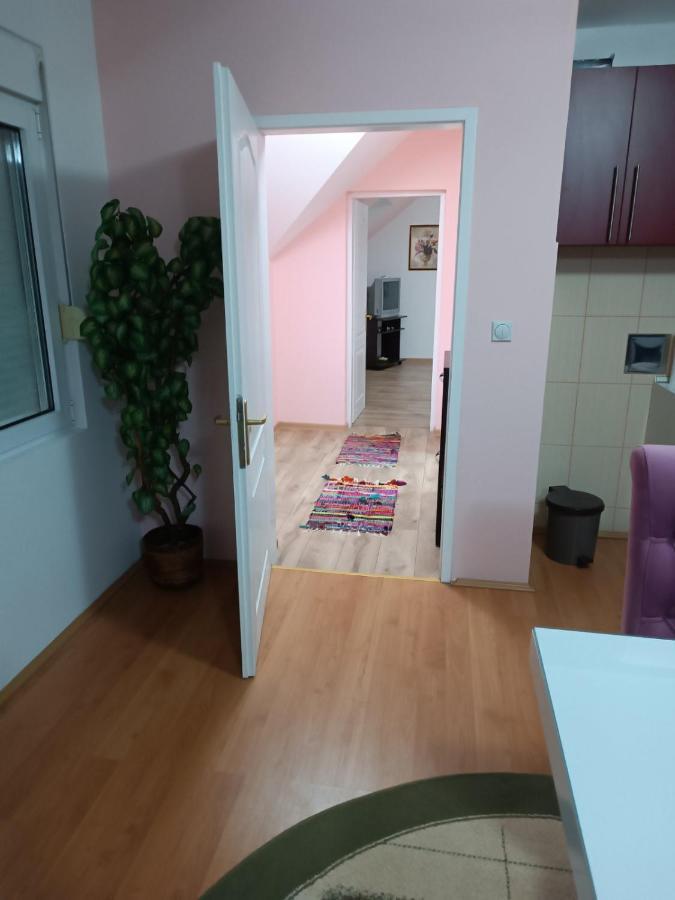 Ferienwohnung Stan Na Dan J & M Vrsac Exterior foto